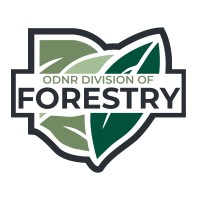 Odnr - Division Of Forestry
