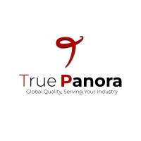 True panora logo - Similar company to Dserv.Io