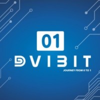 DVIBIT logo - Similar company to Developer Squad