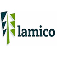 Lamico bv logo - Similar company to H