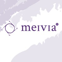 Meivia Global Services Llp