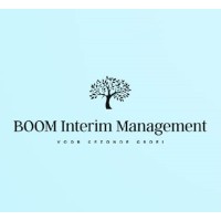 BOOM Interim Management logo - Similar company to Autobedrijf Schouten B.V.