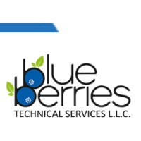 BLUE BERRIES TECHNICAL SERVICES L.L.C logo - Related company intelligence peer for Blueberries
