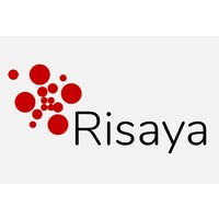 Risaya media ventures logo - Similar company to Chasing Rabbits