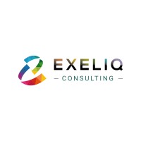 Exeliq Consulting Inc. logo - Similar company to Exeliq Analytics Llp