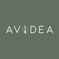 AVIDEA logo - Similar company to Andreus Resorts