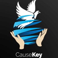 CauseKey Pvt Ltd logo - Similar company to Crafting Innovation