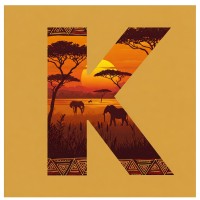 Kilimanjaro Labs logo - Similar company to Roccstar Wireless
