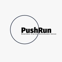 pushrun.tech logo - Similar company to Beelieve Fc