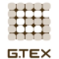 Geosynthetics Technologies Company Ltd. logo - Similar company to Kbe Group
