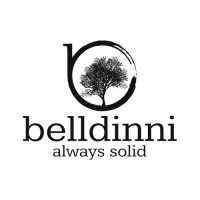 Belldinni Inc logo - Similar company to Imoon Games