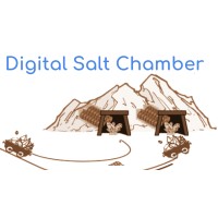 Digital Salt Chamber logo - Similar company to Digital Salt