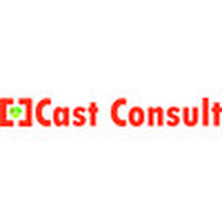 CAST Consult Ltd logo - Similar company to Dk-Labs