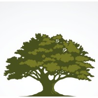 Oak Tree Asset Finance Ltd logo - Similar company to Oak Tree Finance