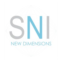 SuperNova Interactive logo - Similar company to Concept Sauce 3D Virtual Research Platform