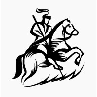 Saint George Consulting logo - Similar company to Digital Transformation Consultancy