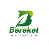 Bereket Naturals Pvt Ltd logo - Similar company to Autoshades