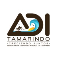 Asociación de Desarrollo Integral de Playa Tamarindo logo - Similar company to Capital Investment Group
