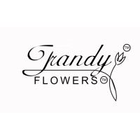 Trandy Flowers logo - Similar company to Trandy B