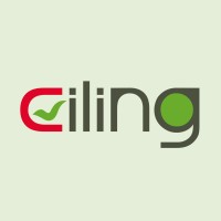 Ciling - Centro Internacional de Línguas logo - Similar company to Fun Languages Restelo