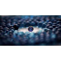 Spectrum Talent Solutions, LLC logo - Similar company to Talent Spectrum Solutions And Services
