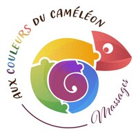 Aux Couleurs Du Caméléon logo - Similar company to Plein Écran