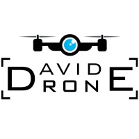 DavidedronE logo - Similar company to Ravasin Risarcimenti