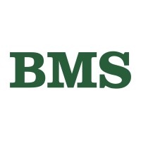 BMS A/S logo - Similar company to Tunga Lyft Ab, A Storskogen Group Company
