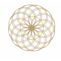 Bioregenesis Experience logo - Similar company to Gc Rivera Foundation