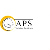 APS Training Academy logo - Similar company to Aps Data Technologies