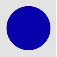 Spinach Studios logo - Similar company to Aussie Indians