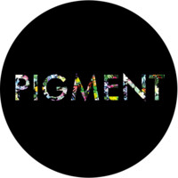 Pigment Magazine logo - Similar company to Nou