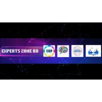 EXPERTS ZONE BD logo - Similar company to Payper Technologies
