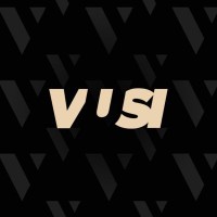 VUSI logo - Similar company to Red Moons Studios