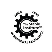 The Stable Institute logo - Similar company to Achieve Cmo