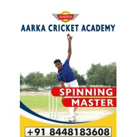 Aarka Cricket Academy logo - Similar company to Aarka Sports Management Pvt.Ltd