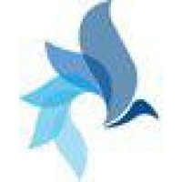 Skyblue International logo - Similar company to Illustro Webs