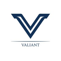 Valiant Management Group logo - Similar company to Afc Ann Arbor