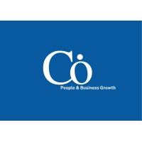 COB CONSULTING logo - Similar company to Buyrmb.Ng