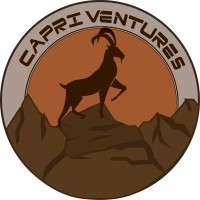 CapriVentures logo - Similar company to Lonestar Technologies Mis