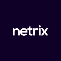 Netrix logo - Similar company to Netrix It Solutions
