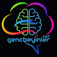 gencbeyinlernet logo - Similar company to Mercurysoftware