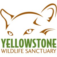 Yellowstone Wildlife Sanctuary logo - Similar company to Red Wolf Sanctuary & Raptor Rehabilitation Center
