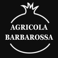 AGRICOLA BARBAROSSA logo - Similar company to Graham Pattison Creative