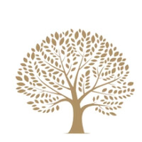 Veda Connection logo - Similar company to Vera Spirits