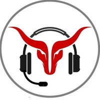Bigbull Business Resources logo - Similar company to Affirm Business Solutions