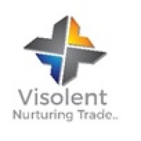 Visolent India Private Limited logo - Similar company to Digitech Horizons