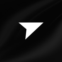 Tanzania Web Solutions logo - Similar company to Vibing Studios