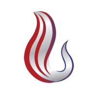 Ankaa  Consulting logo - Similar company to Risktec Solutions