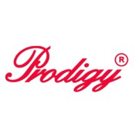 Prodigy Limited logo - Similar company to Prodigy Software Inc.